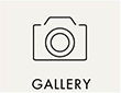 ギャラリー